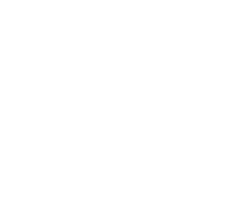 LOGO NP 2 (1)