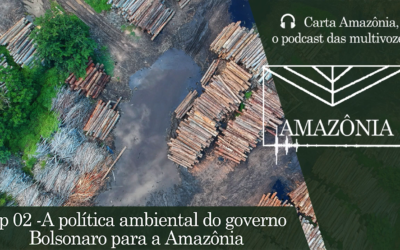 Política antiambiental da gestão Bolsonaro incentiva o desmatamento da Amazônia, afirma pesquisadora da UFPA