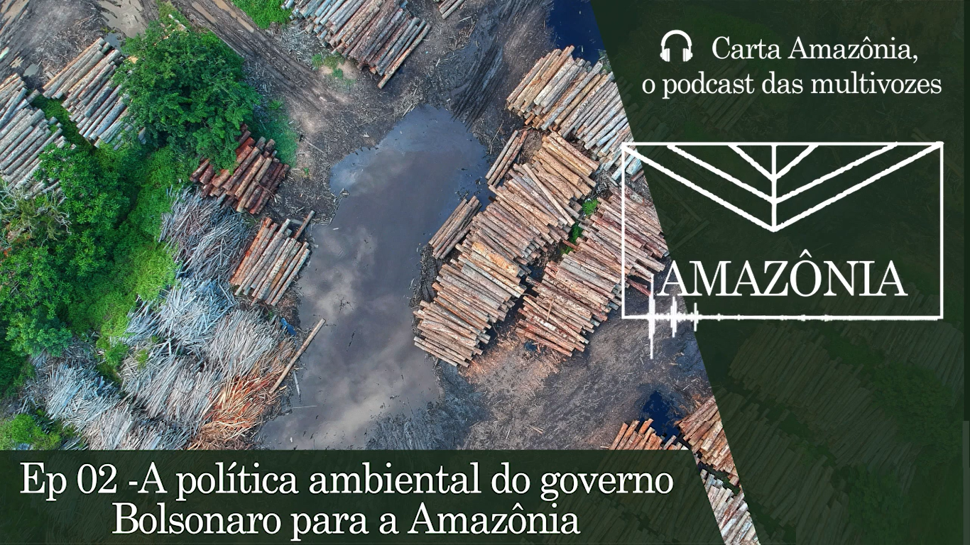 Política antiambiental da gestão Bolsonaro incentiva o desmatamento da Amazônia, afirma pesquisadora da UFPA