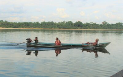 Desinformação na Amazônia retoma imaginário colonial sobre a floresta e os povos indígenas 