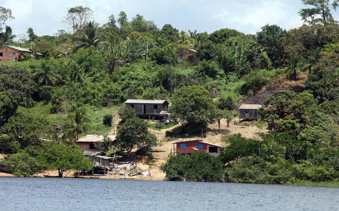 Quilombolas formam escudos de preservação da floresta na Amazônia Legal