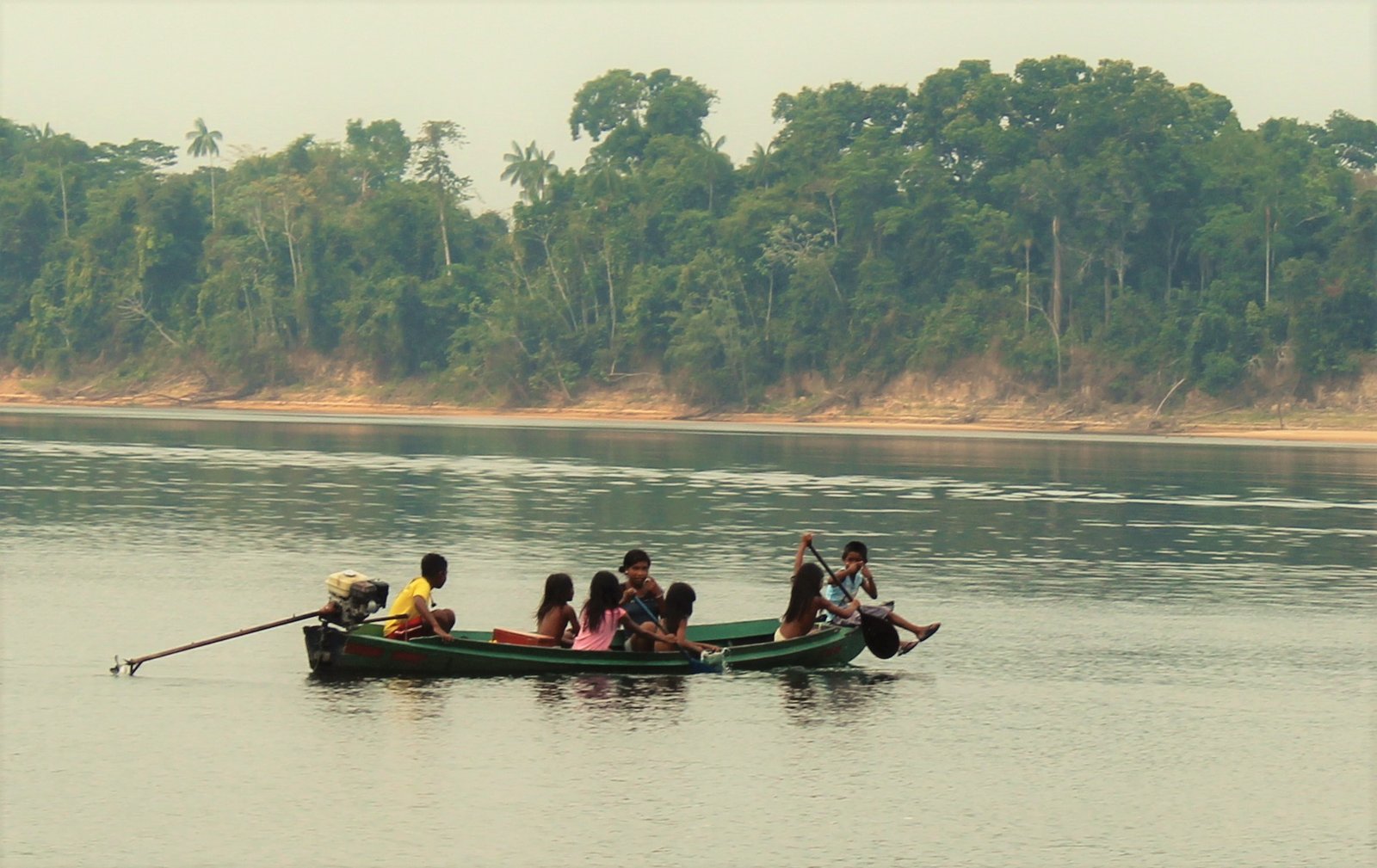 Desinformação sobre a Amazônia: relatório do coletivo Intervozes mostra como fake news se espalham na região
