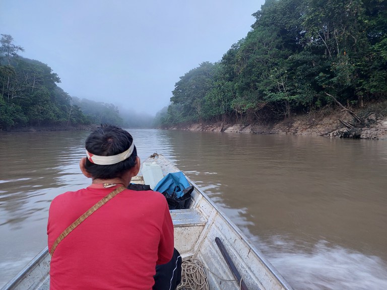 Desmatamento na Amazônia cai 31% nos cinco primeiros meses de 2023
