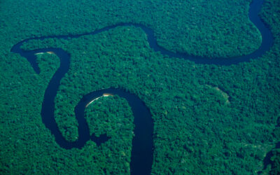 Desmatamento na Amazônia cai 33% no primeiro semestre de 2023