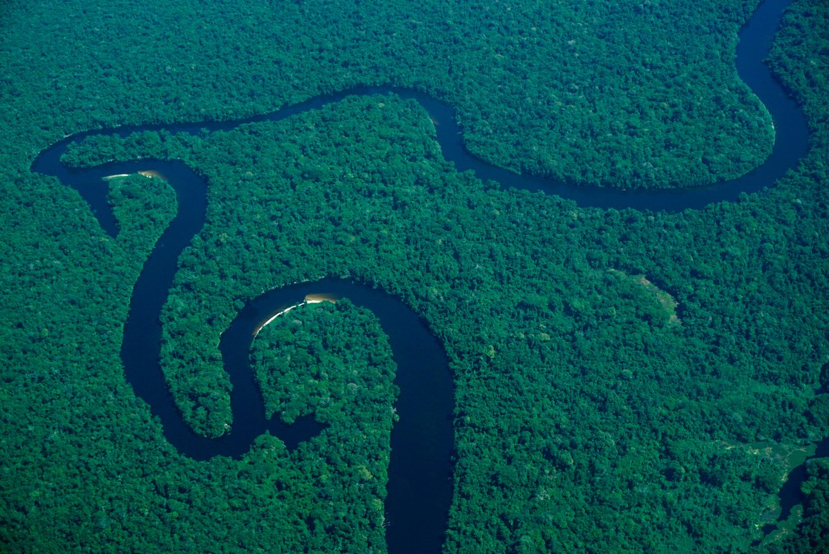 Desmatamento na Amazônia cai 33% no primeiro semestre de 2023