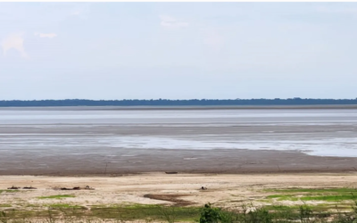 Com seca extrema, rio Amazonas deve baixar históricos 8 metros em setembro