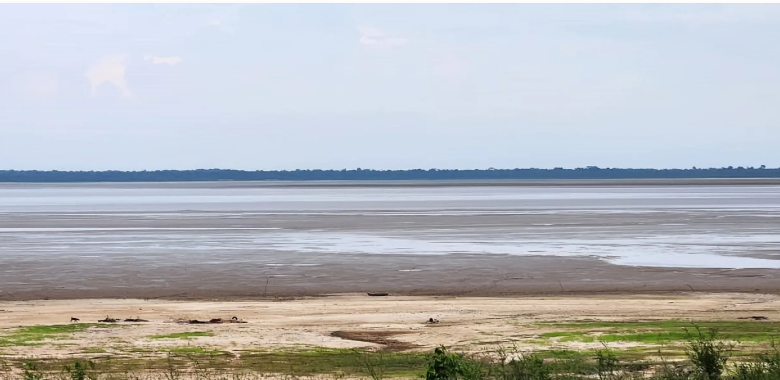 Com seca extrema, rio Amazonas deve baixar históricos 8 metros em setembro