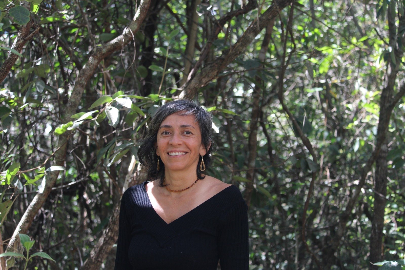 A redução do desmatamento na Amazônia está associada ao retorno da agenda ambiental no governo, afirma diretora do IPAM