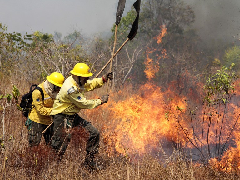 Bombeiros tentam dominar política de combate a incêndios florestais discutida no Congresso