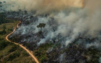 Fundo Amazônia amplia recursos para combater incêndios florestais