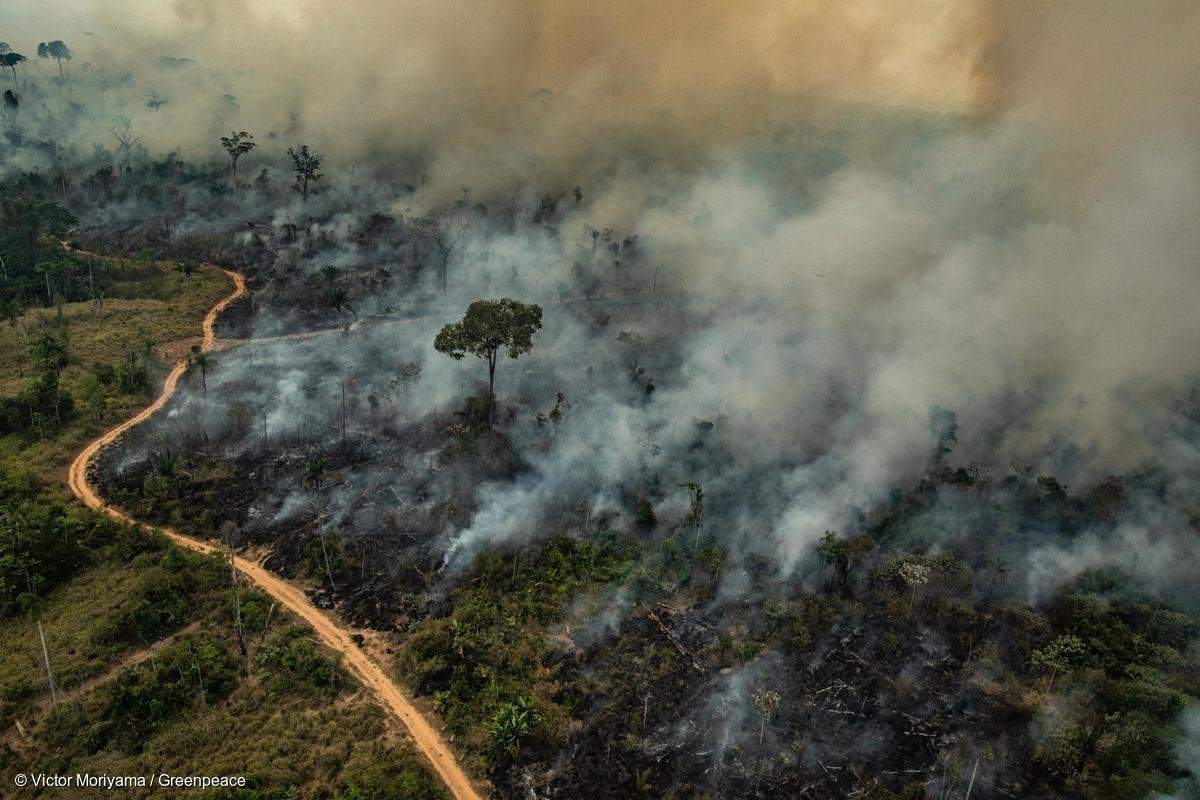 Fundo Amazônia amplia recursos para combater incêndios florestais