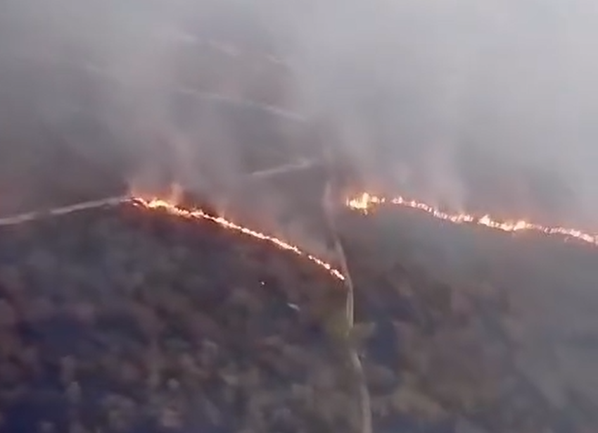 Chuva apaga incêndio na Apa Alter do Chão; imagens de satélite mostram  evolução das chamas, Santarém e Região