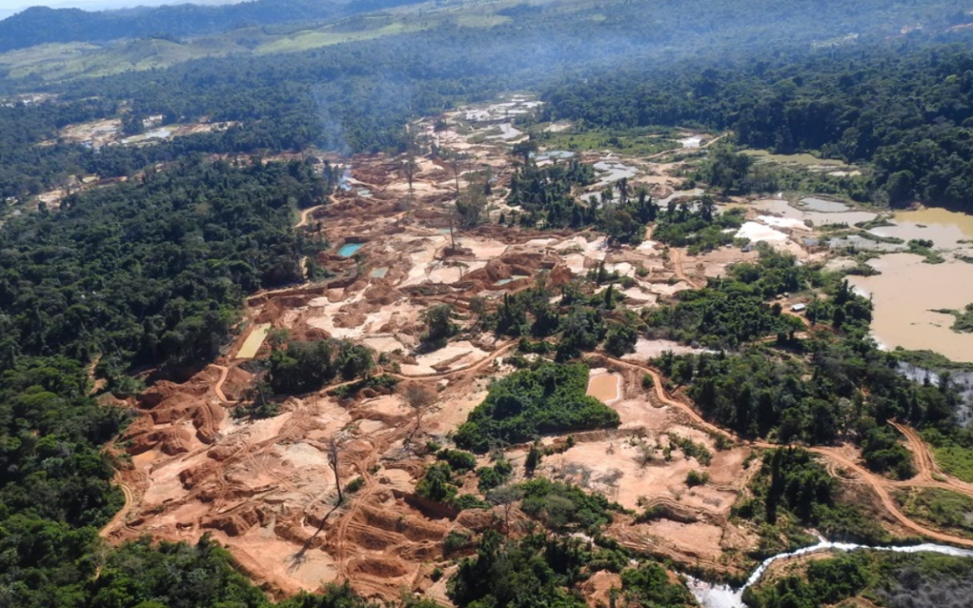 Em cinco anos, garimpo ilegal avançou mais de 12 mil hectares na Bacia do Xingu