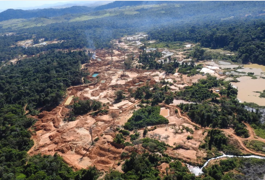 Em cinco anos, garimpo ilegal avançou mais de 12 mil hectares na Bacia do Xingu