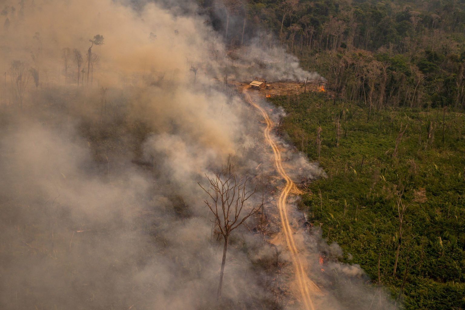 Ações judiciais ligam JBS à destruição de Resex mais desmatada da Amazônia