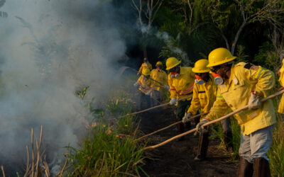 Voluntários contra os incêndios florestais na Amazônia