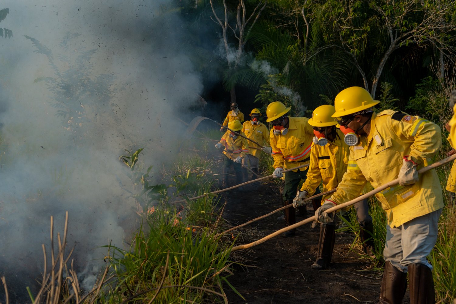 Voluntários contra os incêndios florestais na Amazônia