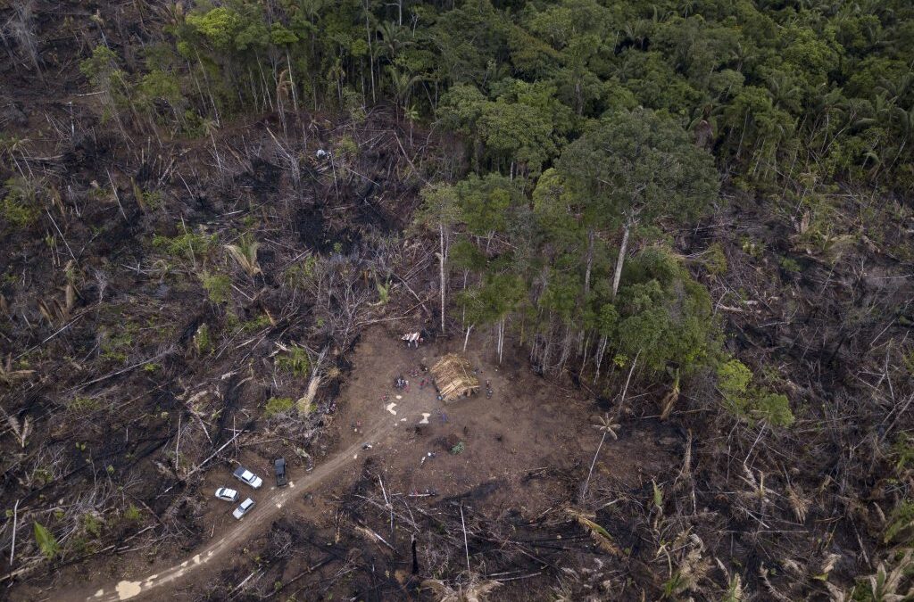 Jornalistas que cobrem meio ambiente e clima na América Latina enfrentam ameaças e assédio em campo