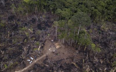 Jornalistas que cobrem meio ambiente e clima na América Latina enfrentam ameaças e assédio em campo