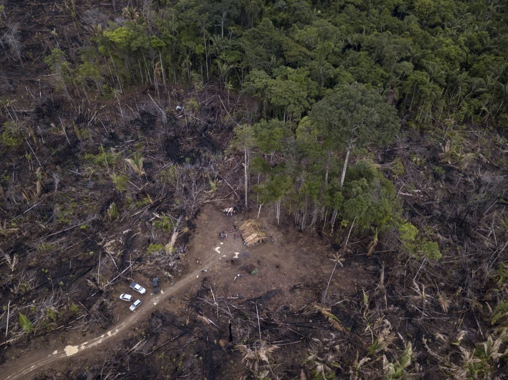 Jornalistas que cobrem meio ambiente e clima na América Latina enfrentam ameaças e assédio em campo
