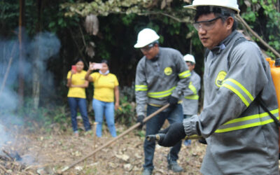 Brigadas indígenas utilizam saberes tradicionais na prevenção aos  incêndios florestais  