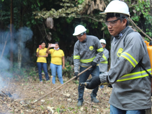 Brigadas indígenas utilizam saberes tradicionais na prevenção aos  incêndios florestais  