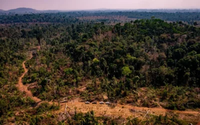 CAR vira ferramenta para grilagem em terras indígenas no Mato Grosso