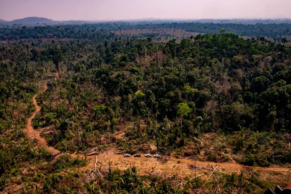 CAR vira ferramenta para grilagem em terras indígenas no Mato Grosso