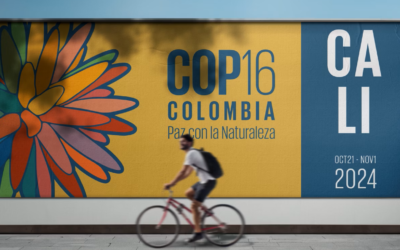 COP-16 inicia na Colômbia com o tema “Paz com a Natureza”