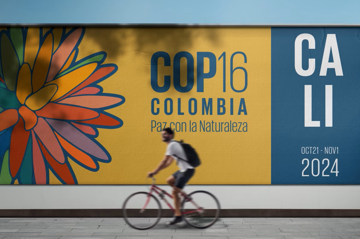 COP-16 inicia na Colômbia com o tema “Paz com a Natureza”