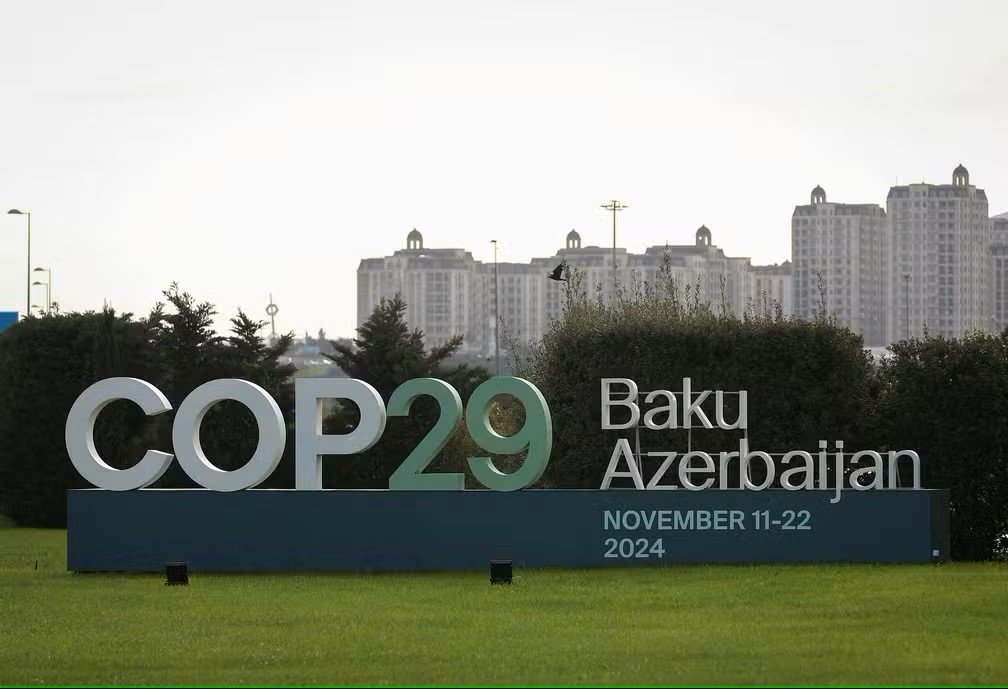 Carta Amazônia fará cobertura especial direto da COP29