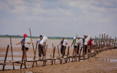 Eleições na Amazônia expõem falta de políticas concretas no enfrentamento às mudanças climáticas