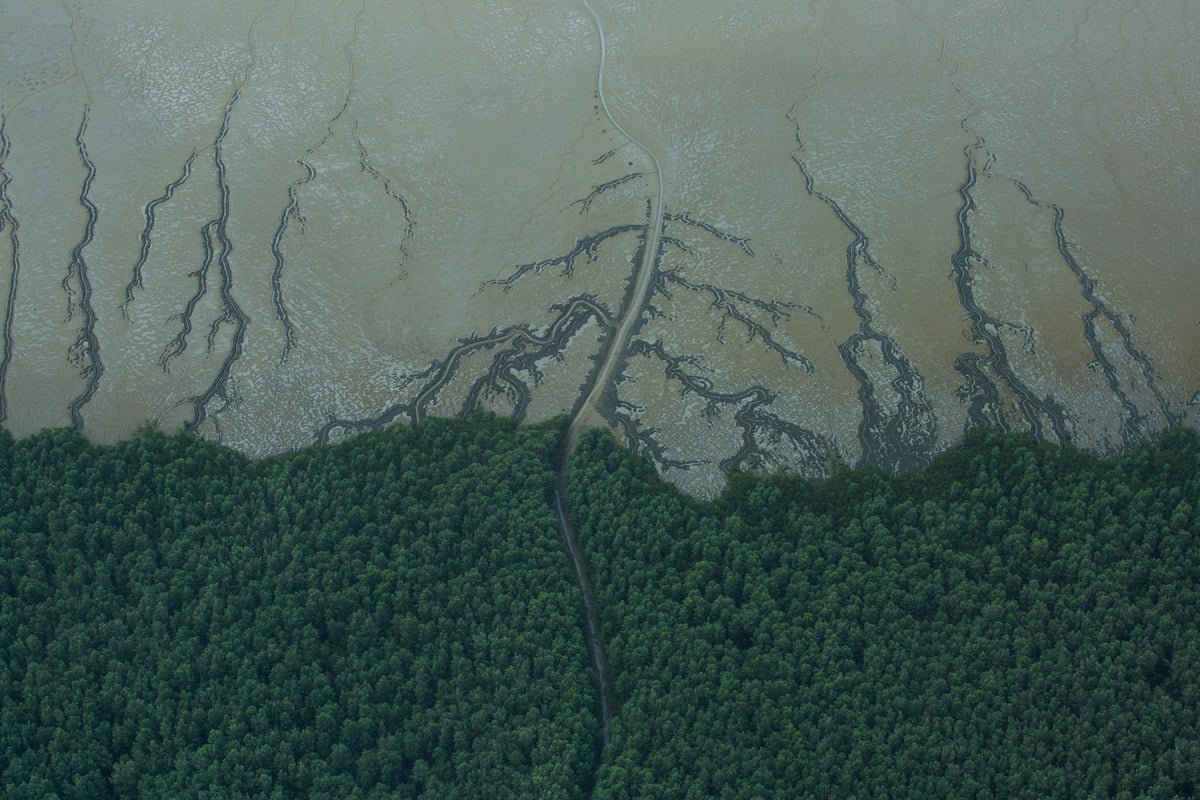 Entrada na OPEP+ contradiz os compromissos climáticos assumidos pelo Brasil, afirma diretor do IPAM