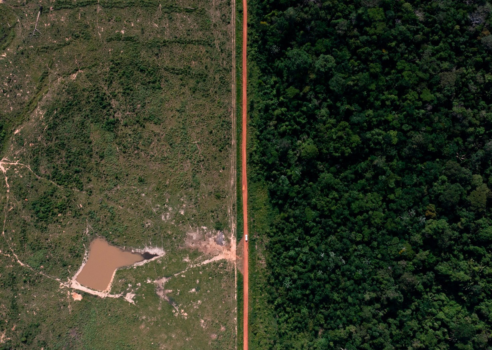 Como bancos e dinheiro público financiam o colapso da Amazônia