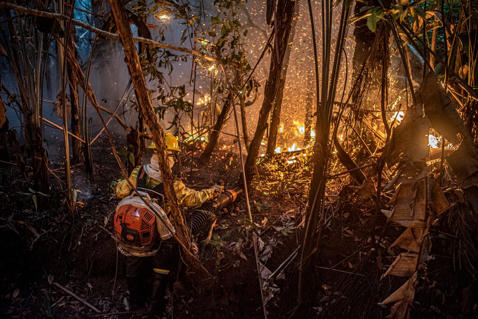 Desmatamento na Amazônia sobe 91% em maio, aponta Inpe