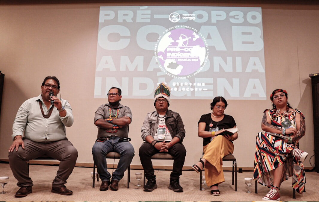 Pré-COP Indígena reúne lideranças de 9 países amazônicos em Brasília