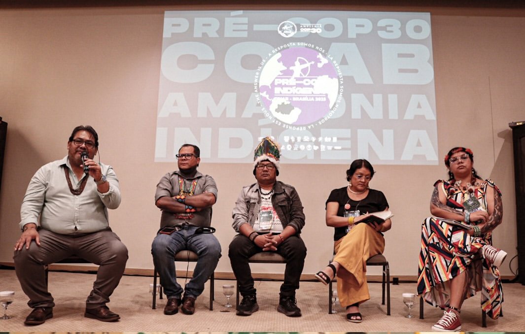 Pré-COP Indígena reúne lideranças de 9 países amazônicos em Brasília