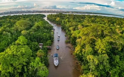 Ciência brasileira lança manifesto contra o PL do licenciamento ambiental