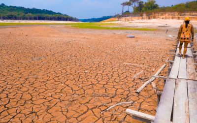 Corte Internacional de Justiça define que Estados podem ser responsabilizados pelo aquecimento global