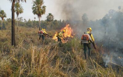 Projeto vai mapear brigadas voluntárias e comunitárias da Amazônia Legal