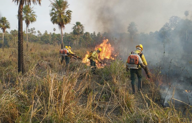 Projeto vai mapear brigadas voluntárias e comunitárias da Amazônia Legal