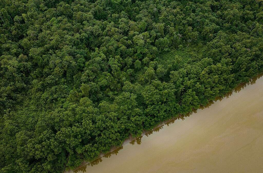 Lula veta 63 artigos do ‘PL da Devastação’; mas mantém licença especial que acelera exploração de petróleo na foz do Amazonas
