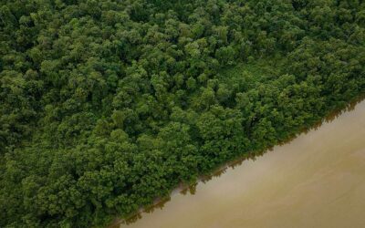 Lula veta 63 artigos do ‘PL da Devastação’; mas mantém licença especial que acelera exploração de petróleo na foz do Amazonas