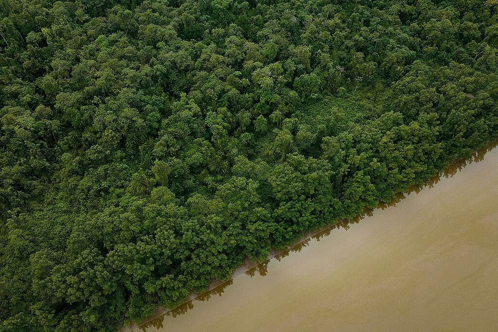 Lula veta 63 artigos do ‘PL da Devastação’; mas mantém licença especial que acelera exploração de petróleo na foz do Amazonas