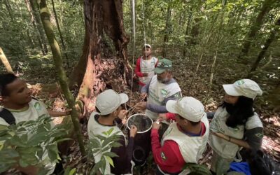 Projeto forma pesquisadores comunitários em unidade de conservação do Marajó