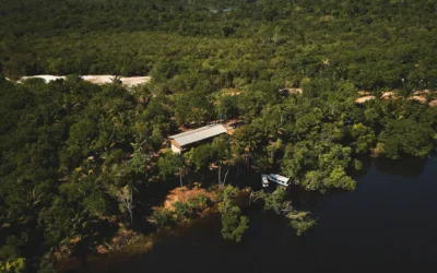 MPF pede suspensão de projeto de carbono em unidades de conservação no Amazonas
