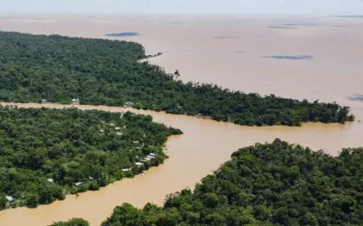 Organizações ambientais planejam entrar na justiça contra exploração de petróleo na Foz do Amazonas