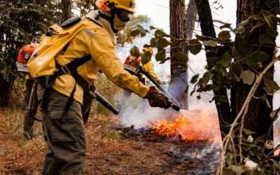 Manejo Integrado do Fogo é um dos compromissos coletivos da COP30 no combate às mudanças climáticas