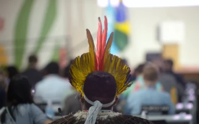 Mesmo com presença recorde, apenas 14% dos indígenas brasileiros devem acessar espaço de decisão na COP30