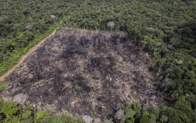 Congresso prevê derrubar metade dos vetos ao PL da Devastação